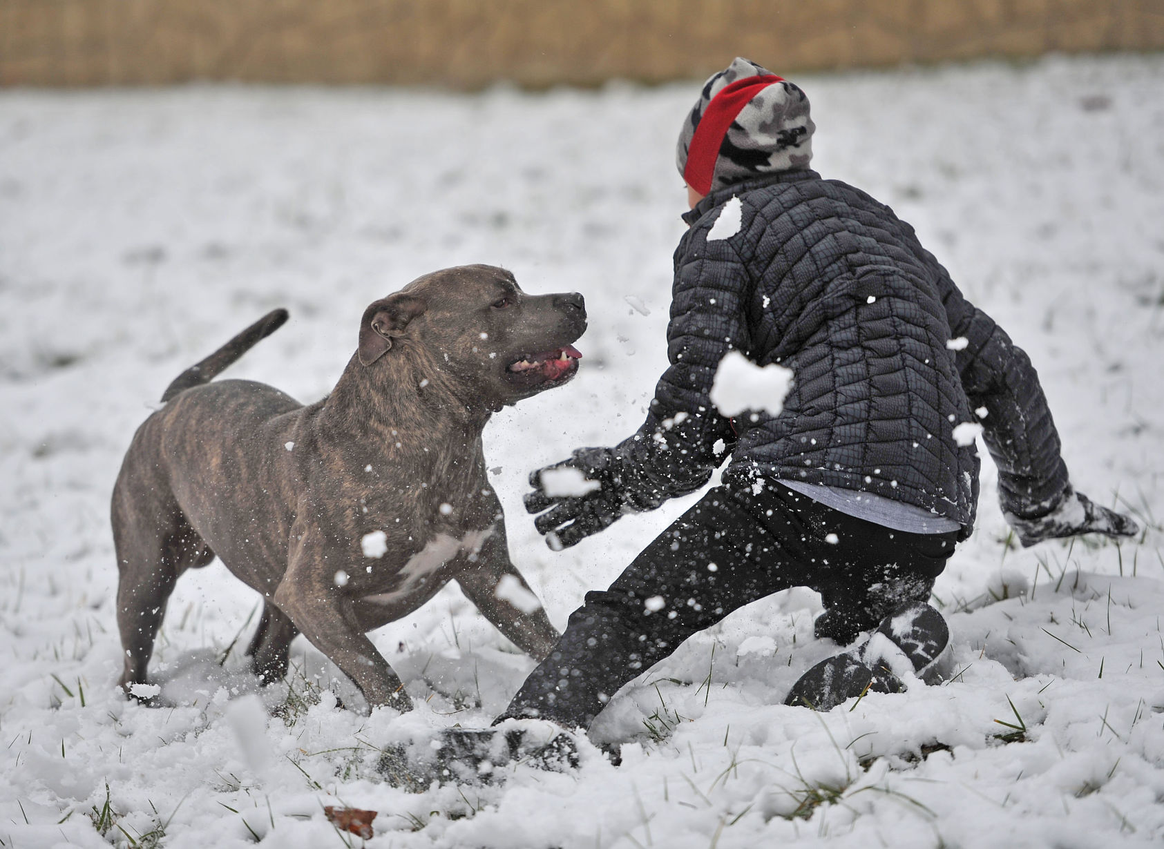 Saturday Snow-03
